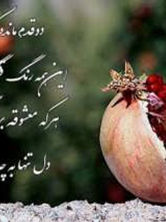 عکسی از دستور یلدا مبارک