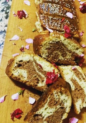Une photo de Les croquets marbré algériens