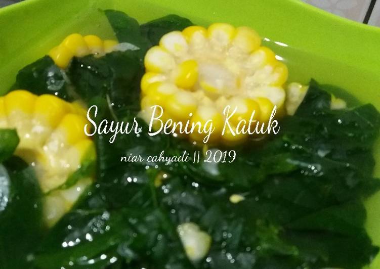 Cara Gampang Membuat Sayur Bening Katuk, Enak Banget