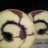 Roll Cake Teflon Ekonomis