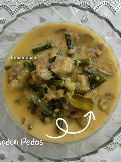 Foto resep Sayur Lodeh Pedas