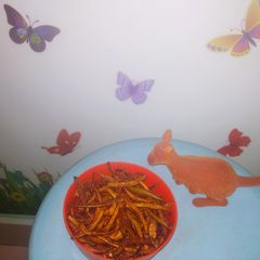 A picture of Parval fry.
