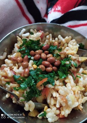 A picture of Bhel puri.