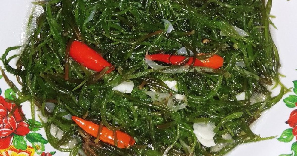Sample Rumput Laut Resep rumput laut segar rumahan enak dan mudah - Cookpad