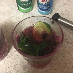 Blue berry mojito spritzer - 2 versions A picture of Blue berry mojito spritzer - 2 versions.