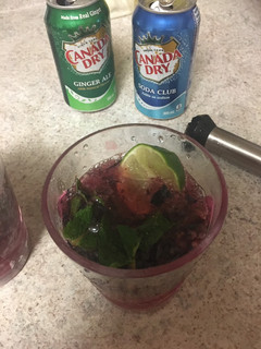 A picture of Blue berry mojito spritzer - 2 versions.