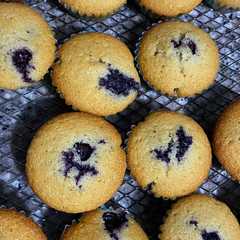 Una foto de Mini muffins de arándanos