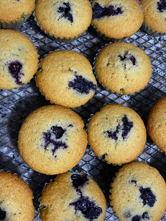 Una foto de Mini muffins de arándanos