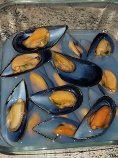 Una foto de Mejillones al vapor