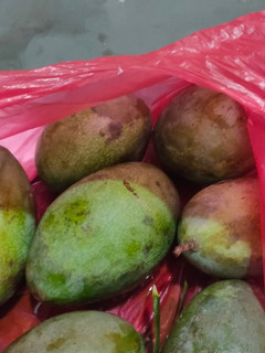 Foto resep Asinan Mangga Asem, manis, pedes & seger