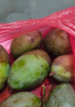 Foto resep Asinan Mangga Asem, manis, pedes & seger