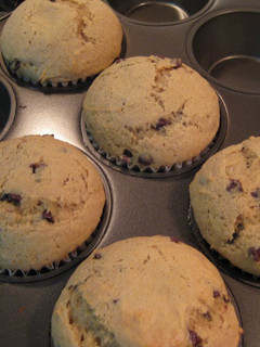 A picture of Banana Chocochip Muffins.