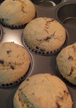 A picture of Banana Chocochip Muffins.