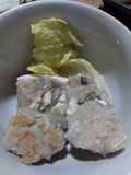 Siomay Tenggiri Enak