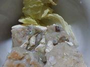 Gambar siomay ikan tenggiri