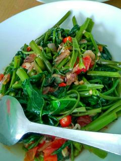 Foto resep Tumis Kangkung Terasi Pedas