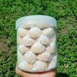 Putri Salju Klasik Kacang Mede