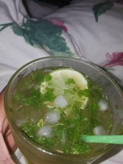 A picture of Alcoholfree Mojito.