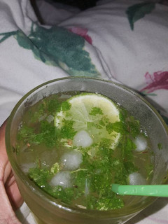 A picture of Alcoholfree Mojito.