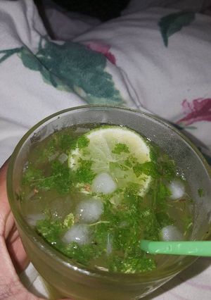 A picture of Alcoholfree Mojito.