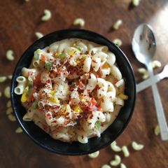 A picture of Macaroni.