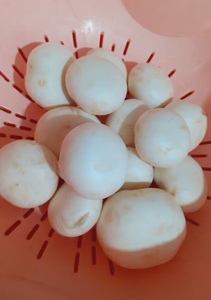 عکسی از دستور شستن قارچ با ی روش عالی😊