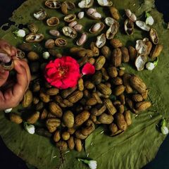 A picture of Boiled peanuts salad.