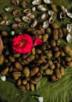 A picture of Boiled peanuts salad.