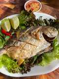 Crispy Fried Fish (Air-Fryer Recipe)