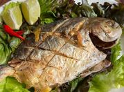 A picture of crispy fried fish