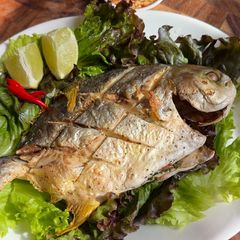 A picture of Crispy Fried Fish (Air-Fryer Recipe).