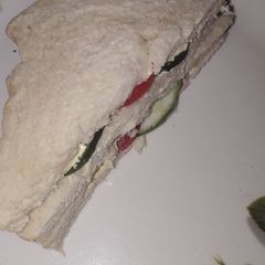 A picture of Home made sabd which.