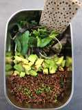 Lunch box di insalata, riso venere e avocado