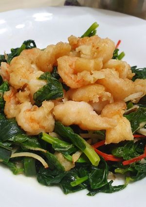 豆苗蝦仁（快速家常菜料理） 的食譜成品照片