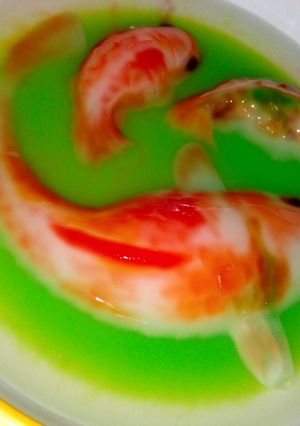 Foto resep Puding Ikan Koi