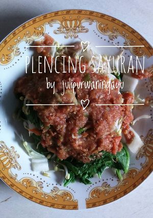 Foto resep Plencing Sayuran Kaya Serat