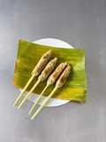 SaTeLit : Sate Lele Lilit