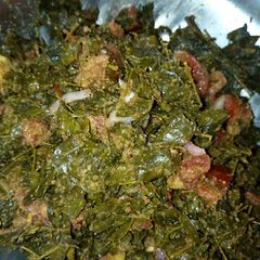 A picture of Moringa salad.