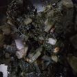 Tandla saag