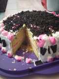 410.Vanilla Sponge Cake (Base Cake)