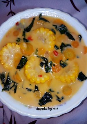 Foto resep Sayur santan daun katuk