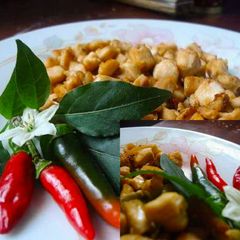 A picture of Chicken bites.