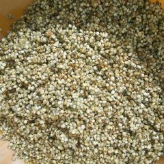 A picture of WAINAR GERO AFRI ARAB DISHES GROUP by maman mus'ab.