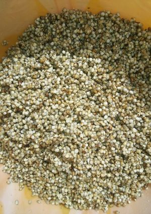 A picture of WAINAR GERO AFRI ARAB DISHES GROUP by maman mus'ab.