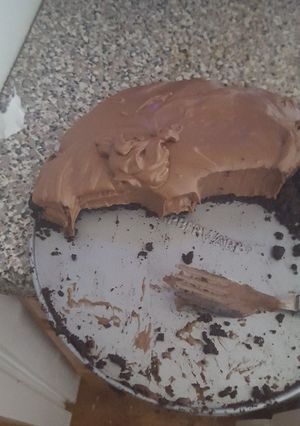 A picture of No bake brownie batter cheese cake.