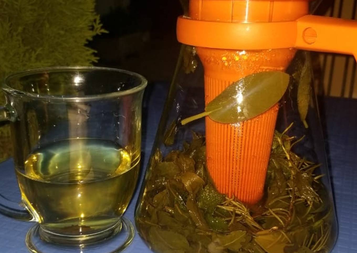 'Twist' Green Tea,🍵🍵