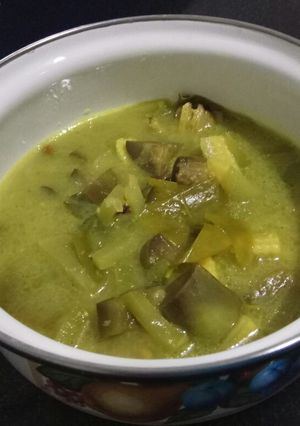 Foto resep Jangan Lodeh Jogja