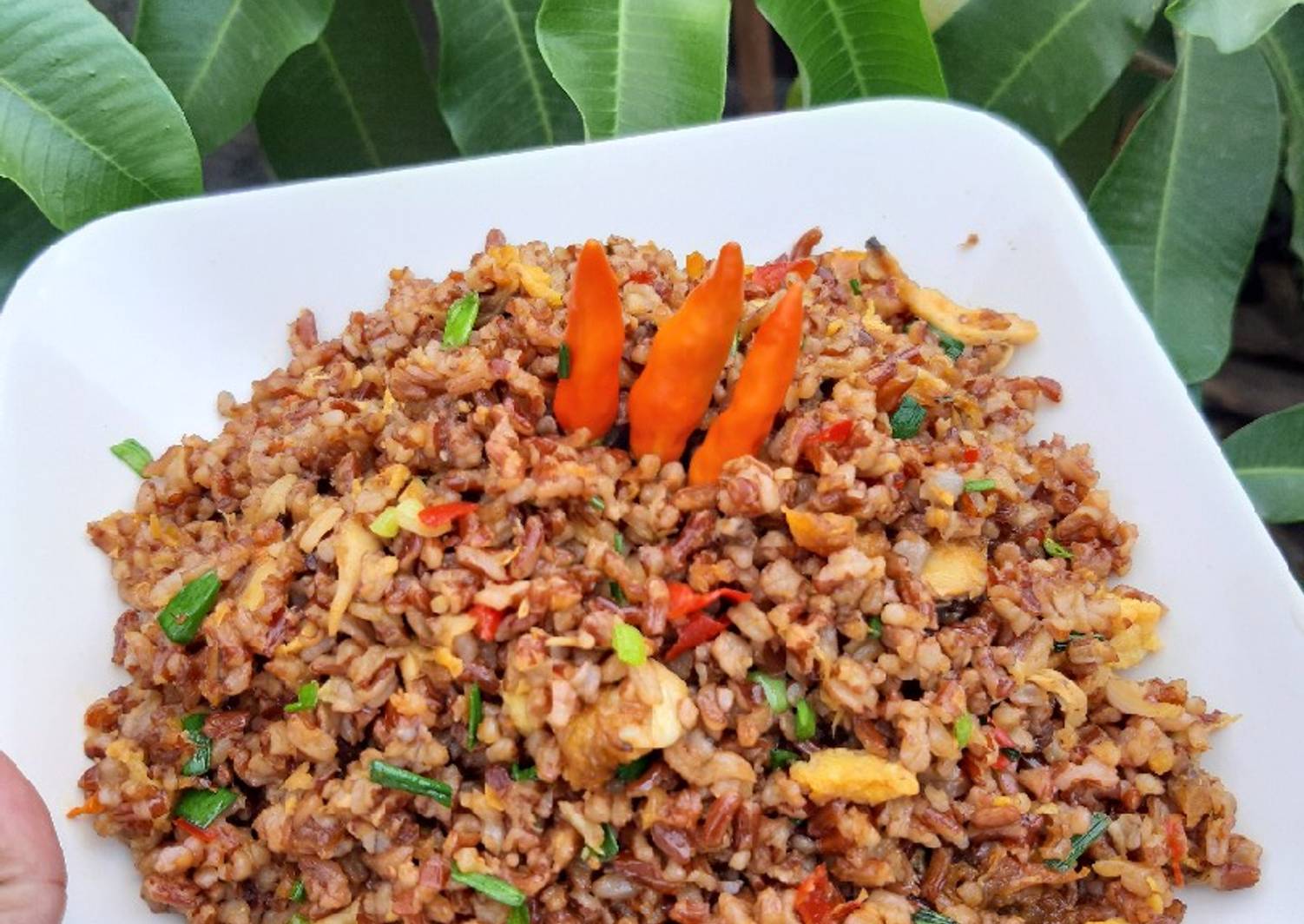 Resep Nasi goreng beras merah oleh Ardiana Na - Cookpad