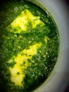 पालक पनीर (palak paneer recipe in marathi) रेसिपी चे मुख्य फोटो