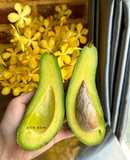 Mẹo Giúp Bơ 034 Chín Đều